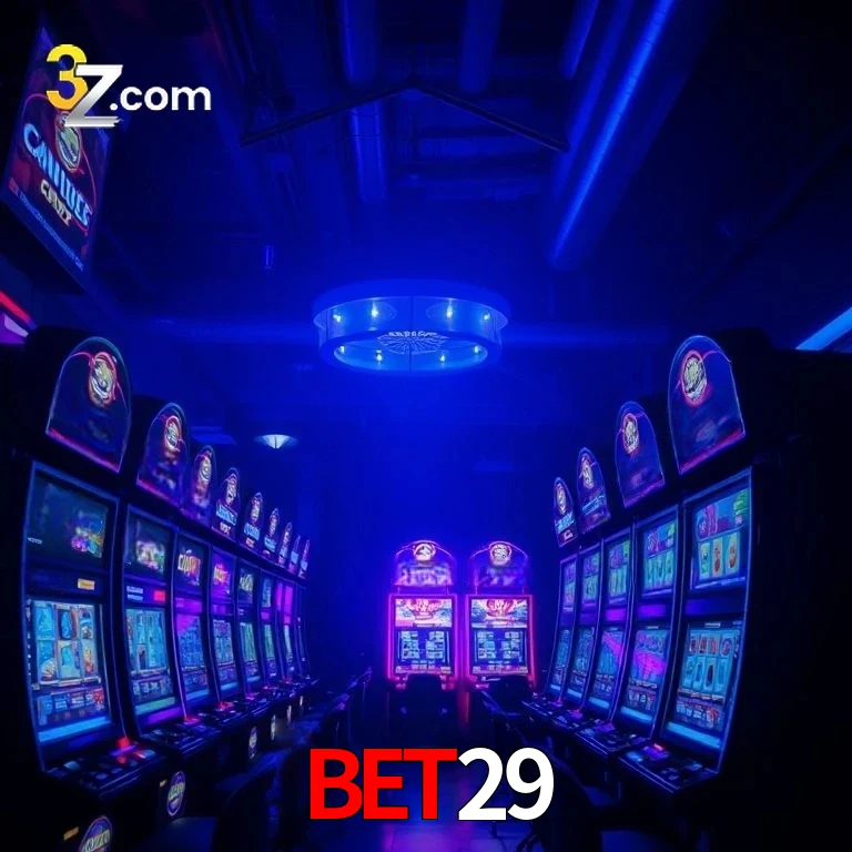 bet29 App Security